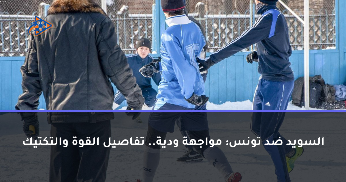 السويد ضد تونس: مواجهة ودية.. تفاصيل القوة والتكتيك