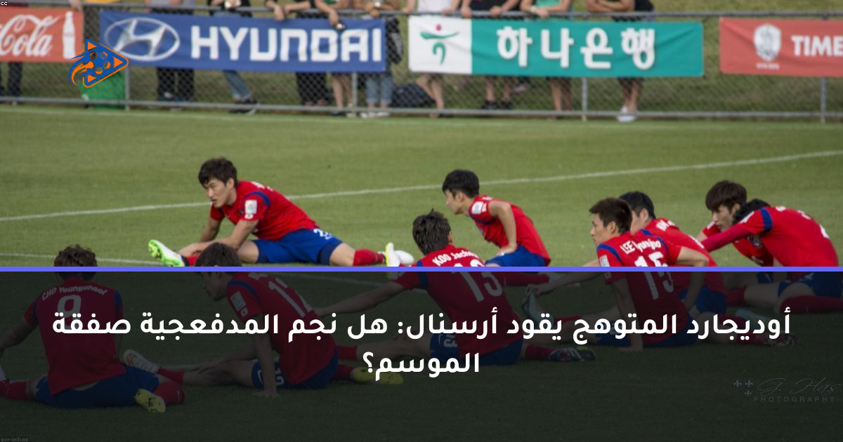 أوديجارد المتوهج يقود أرسنال: هل نجم المدفعجية صفقة الموسم؟