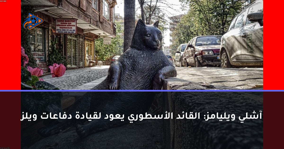 آشلي ويليامز: القائد الأسطوري يعود لقيادة دفاعات ويلز