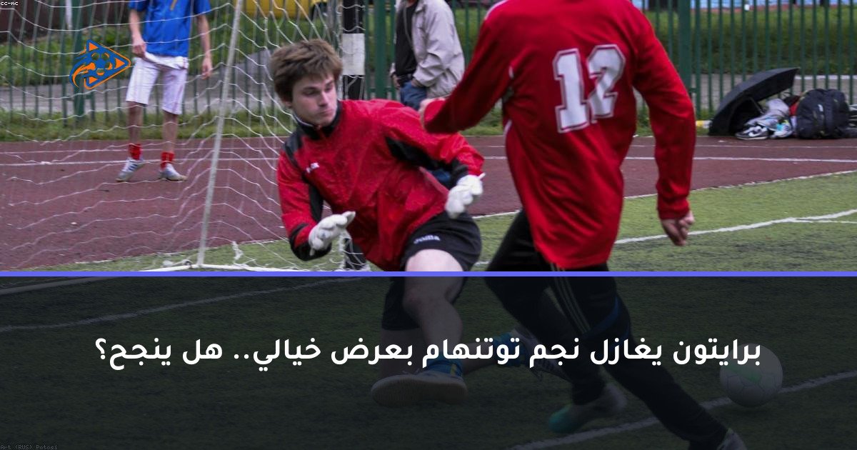 برايتون يغازل نجم توتنهام بعرض خيالي.. هل ينجح؟