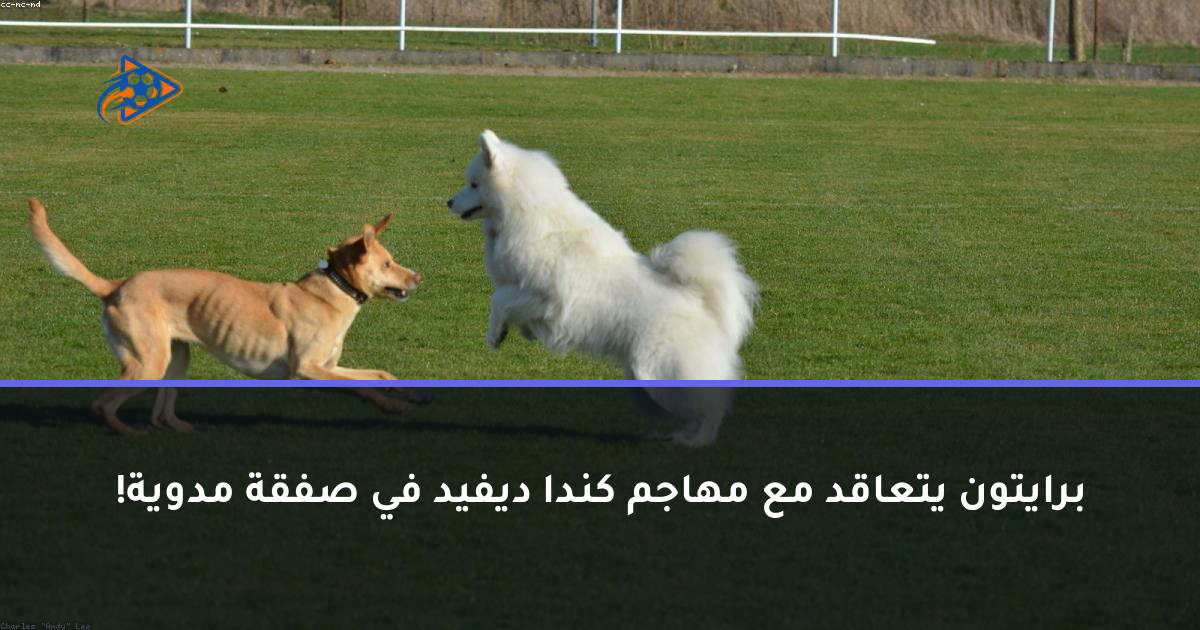 برايتون يتعاقد مع مهاجم كندا ديفيد في صفقة مدوية!
