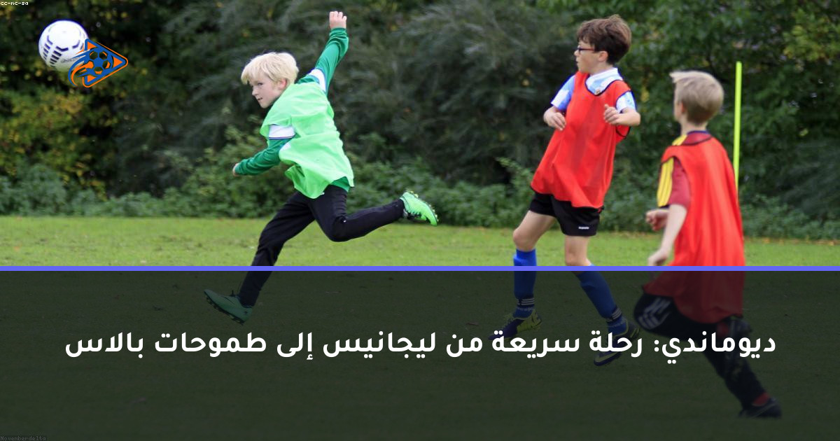 ديوماندي: رحلة سريعة من ليجانيس إلى طموحات بالاس