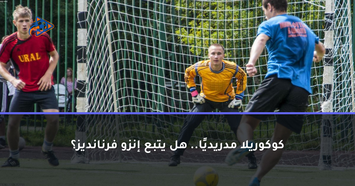 كوكوريلا مدريديًا.. هل يتبع إنزو فرنانديز؟