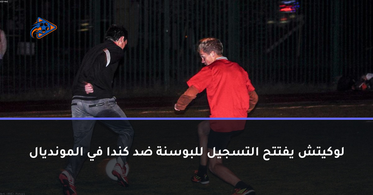 لوكيتش يفتتح التسجيل للبوسنة ضد كندا في المونديال