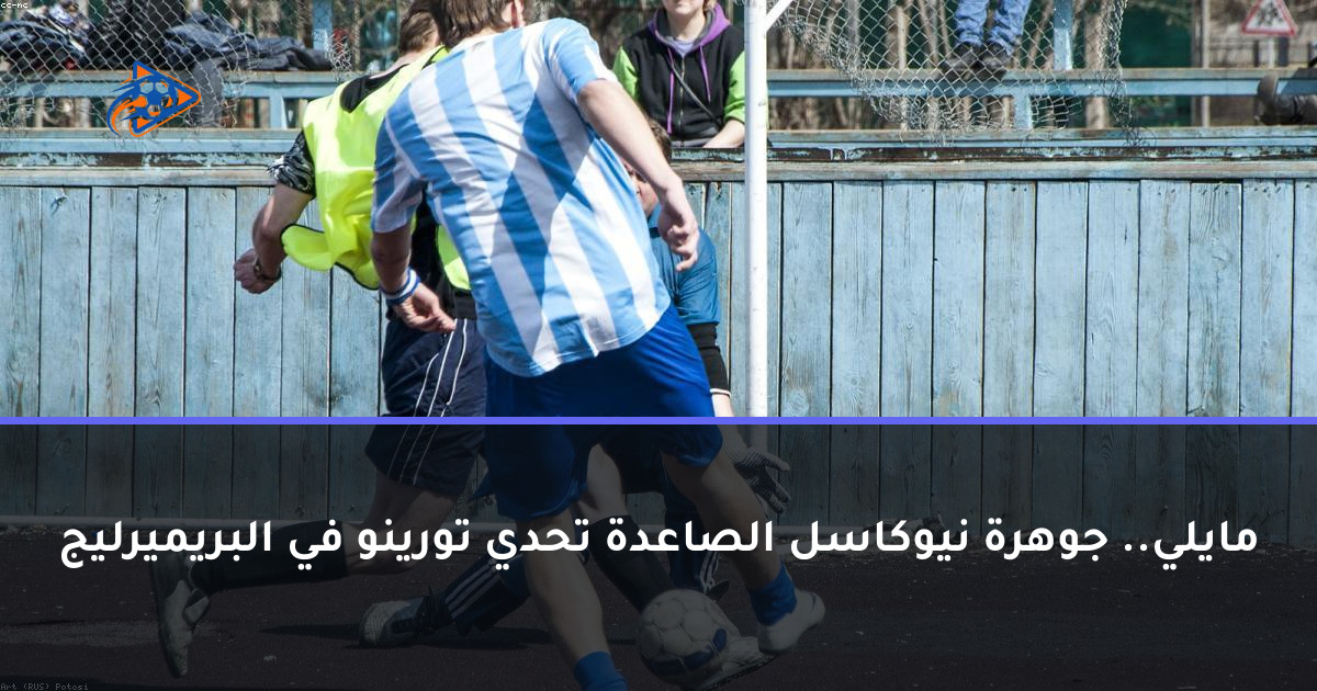 مايلي.. جوهرة نيوكاسل الصاعدة تحدي تورينو في البريميرليج