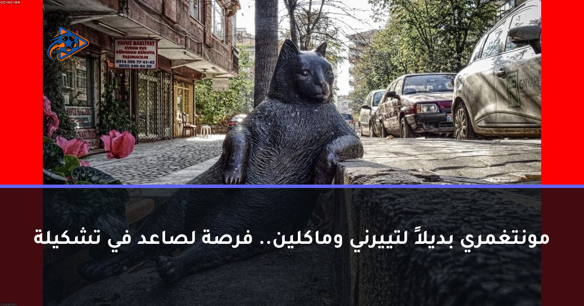 مونتغمري بديلاً لتييرني وماكلين.. فرصة لصاعد في تشكيلة