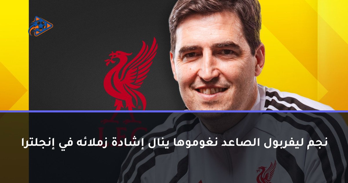 نجم ليفربول الصاعد نغوموها ينال إشادة زملائه في إنجلترا