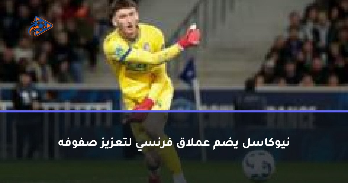 نيوكاسل يضم عملاق فرنسي لتعزيز صفوفه