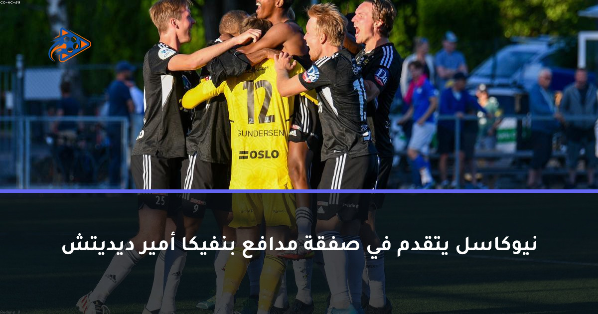 نيوكاسل يتقدم في صفقة مدافع بنفيكا أمير ديديتش