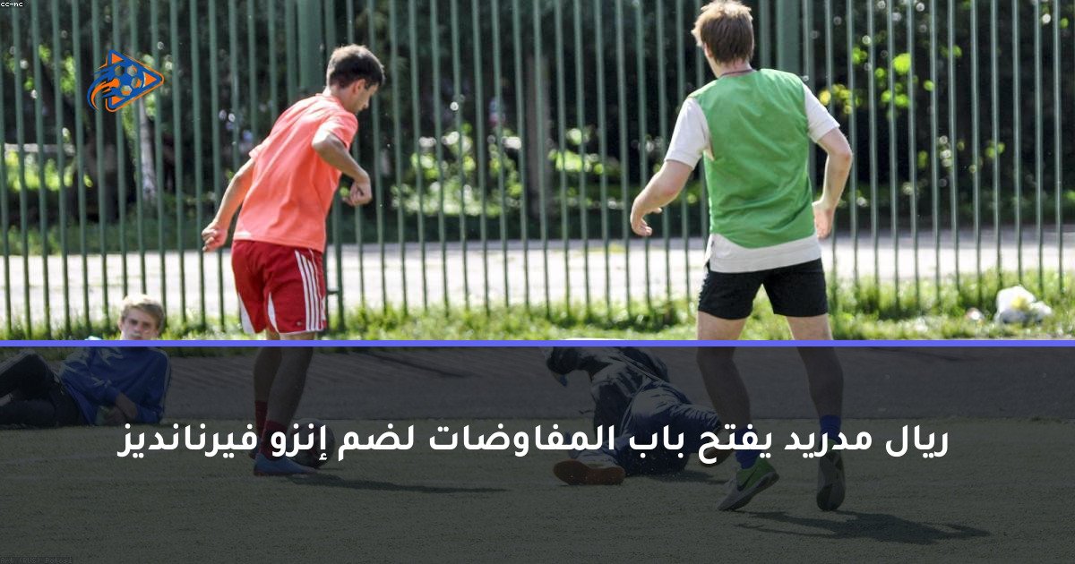 ريال مدريد يفتح باب المفاوضات لضم إنزو فيرنانديز