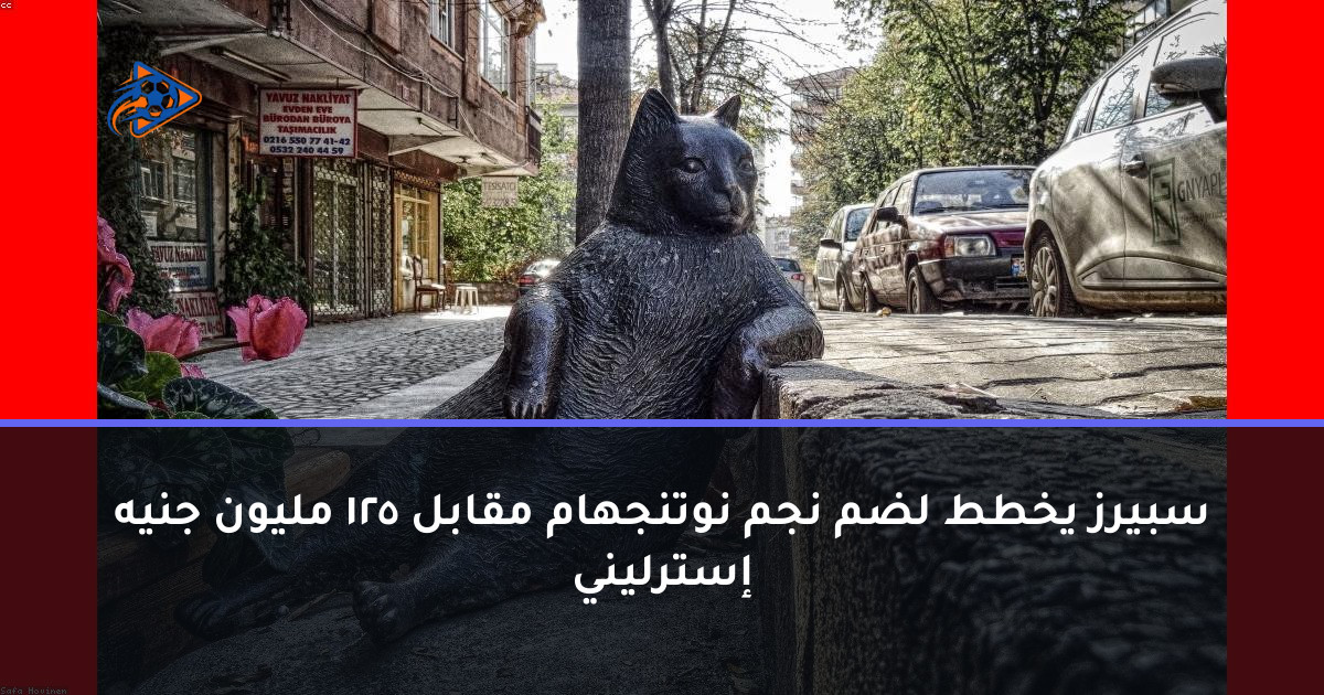 سبيرز يخطط لضم نجم نوتنجهام مقابل 125 مليون جنيه إسترليني