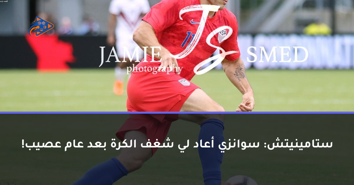 ستامينيتش: سوانزي أعاد لي شغف الكرة بعد عام عصيب!