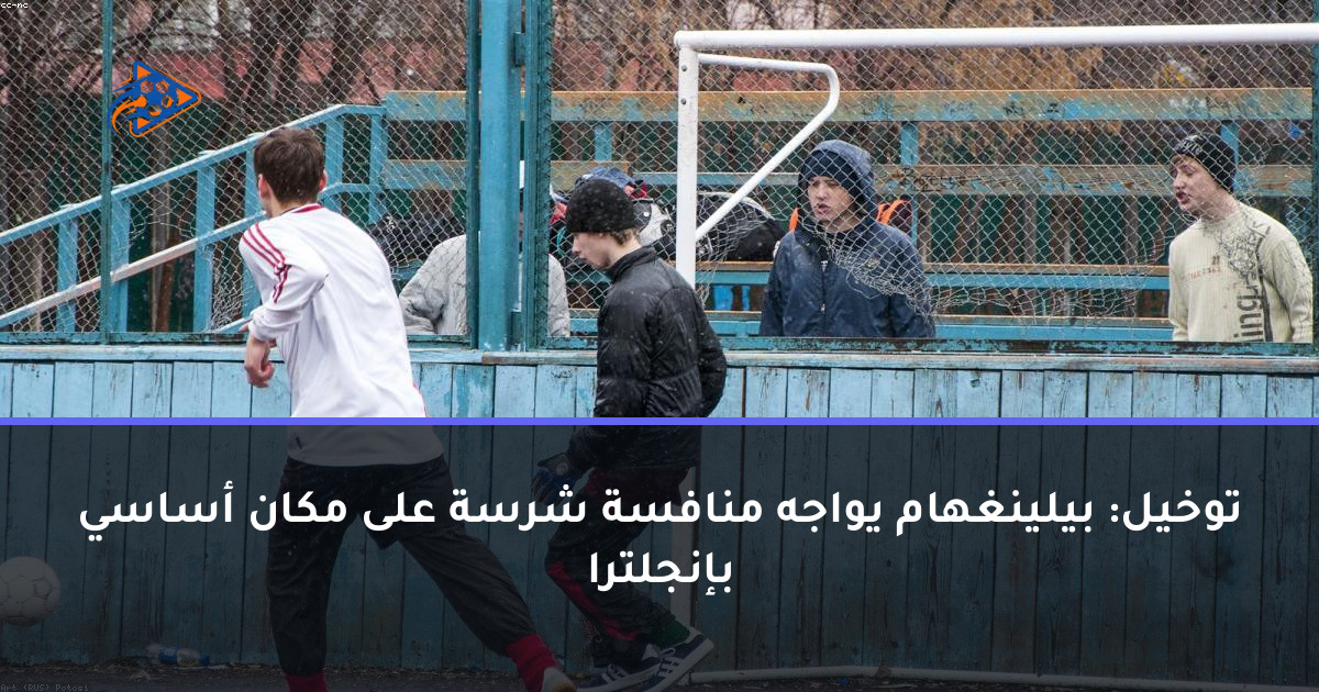 توخيل: بيلينغهام يواجه منافسة شرسة على مكان أساسي بإنجلترا