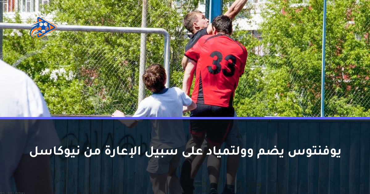 يوفنتوس يضم وولتمياد على سبيل الإعارة من نيوكاسل