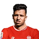عماد الرياحي