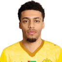 سيرجينيو