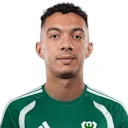 أحمد القرموطي