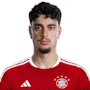 ألكسندر بافلوفيتش