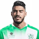 أنس مولهامي