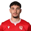 فالمير ماتوشي