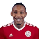 أنس شندي