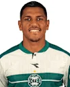 Pedro Rocha