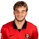 Gonçalo Negrão