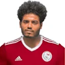 الأمير حسام