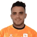 محمود فرحات