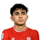 المهدي أكومي