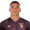 Lagartinho