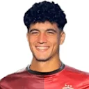 فتحي محمد