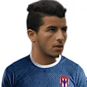 ربيع عجلد