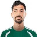 محمود حمادة