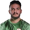 أحمد دعدور
