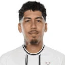 روبيرتو فيرمينو