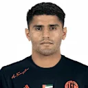 محمود داوود