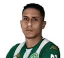 Bruno Tubarão