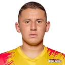 Ronaldo Araya