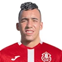 أنس سرغات