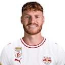 يوربي فيرتيسين