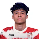 محمد عادل أمو