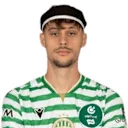 فيليكو بيرمانشيفيتش