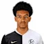 فرانسيس أونيكا