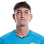 Agustin Falcon