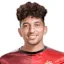 أحمد هاني