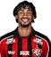 Fabri