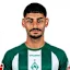 إيرين دينكجي