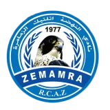 شعار نهضة الزمامرة
